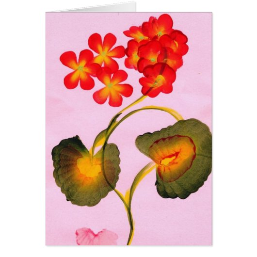 GERANIUMS CARDS (Front)