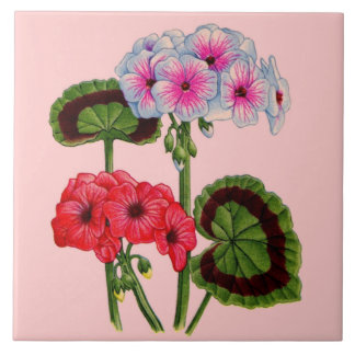 geraniums ceramic tile