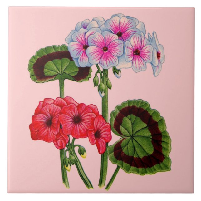 geraniums ceramic tile (Front)