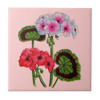 geraniums ceramic tile