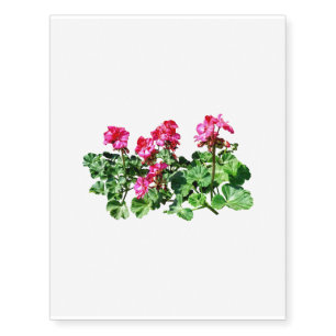 Geraniums In a Row Temporary Tattoos