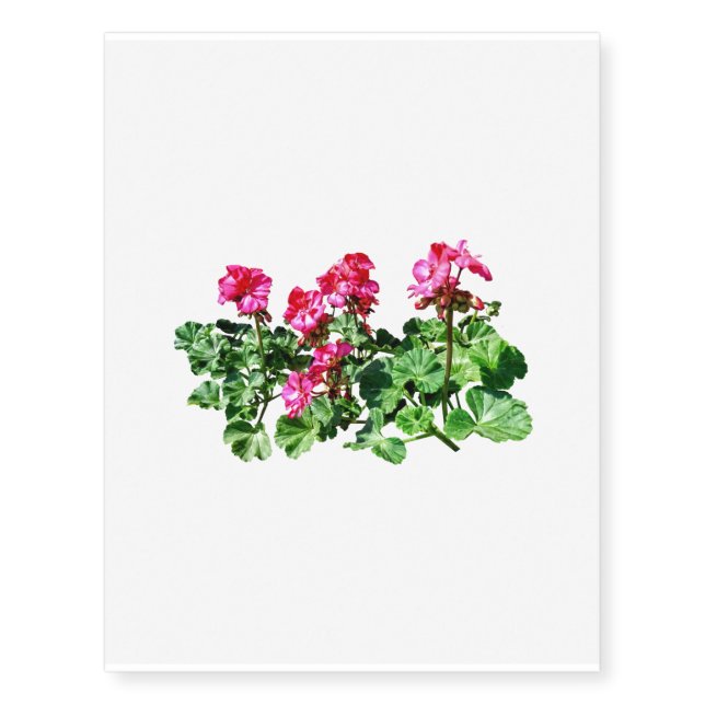 Geraniums In a Row Temporary Tattoos (Front)