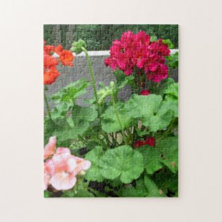 Geraniums Large Jigsaw Puzzle
