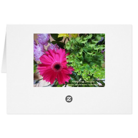 Gerba Daisy (Back Horizontal)