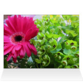 Gerba Daisy Cards (Inside Horizontal (Top))
