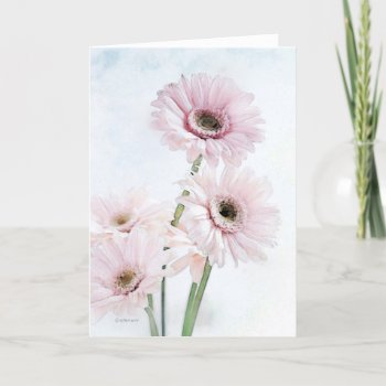 Gerber Daisies - Etsy Card by William63 at Zazzle