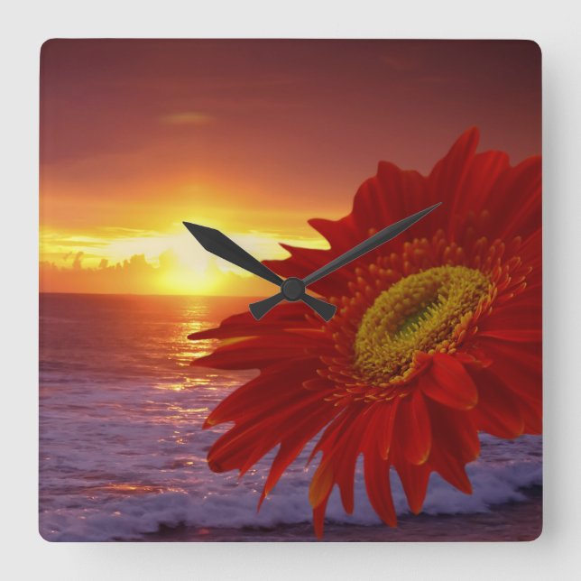 Gerber Daisy and sunset Square Wall Clock (Front)