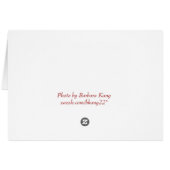 Gerber Daisy Cards (Back Horizontal)