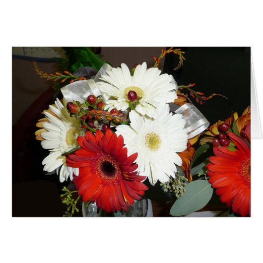 Gerber Daisy Cards (Front Horizontal)