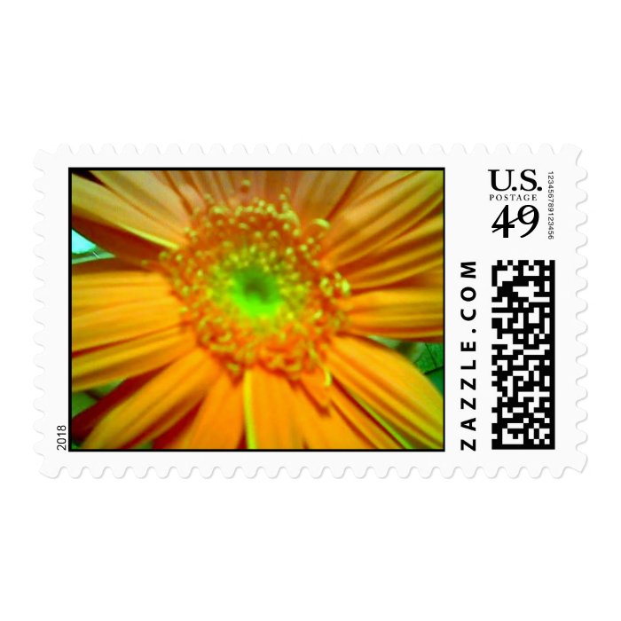 Gerber Daisy Stamp