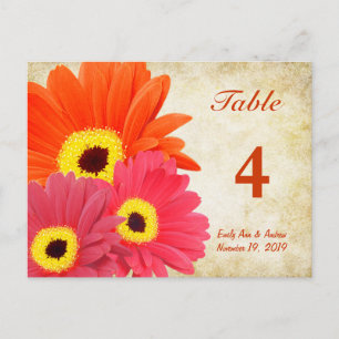 Gerber Daisy Table Number Card
