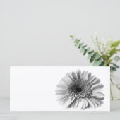 Gerbera (Standing Front)