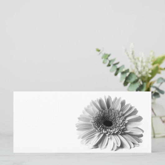 Gerbera (Standing Front)