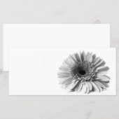 Gerbera (Front/Back)
