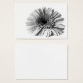 Gerbera (Front & Back)