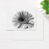 Gerbera (Desk)
