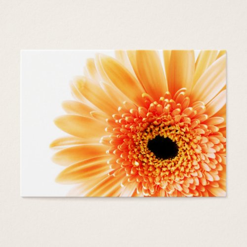 Gerbera Business Card