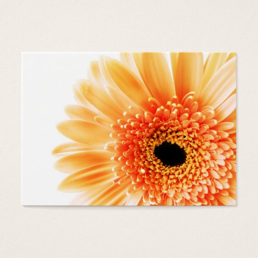 Customizable Gerbera Business Card