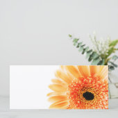 Gerbera (Standing Front)