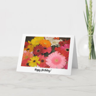 Gerbera Birthday Card