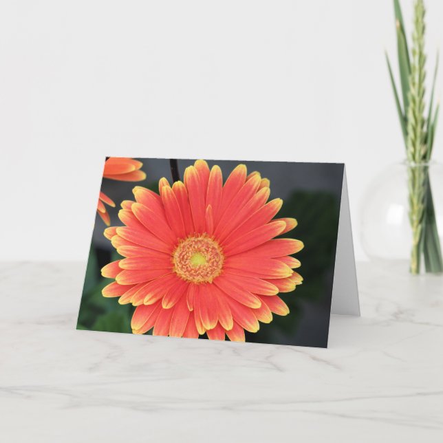 Gerbera Card (Front)
