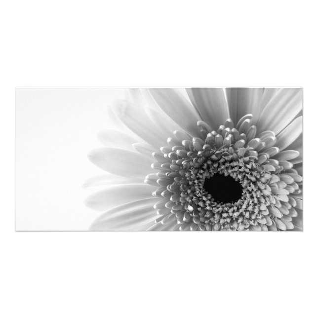 Gerbera Card (Front)