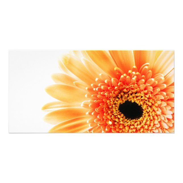 Gerbera Card (Front)