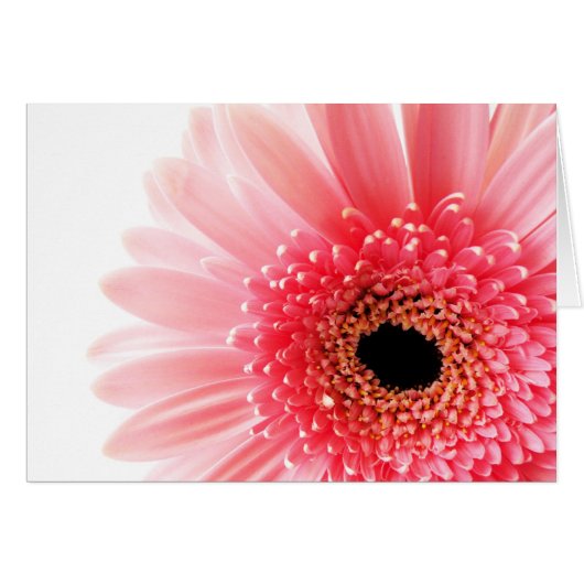Gerbera Cards (Front Horizontal)