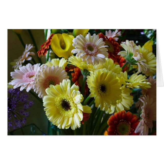 Gerbera Cards (Front Horizontal)
