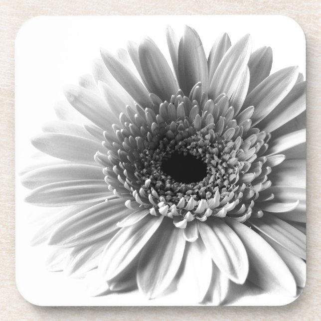 Gerbera Coaster (Front)