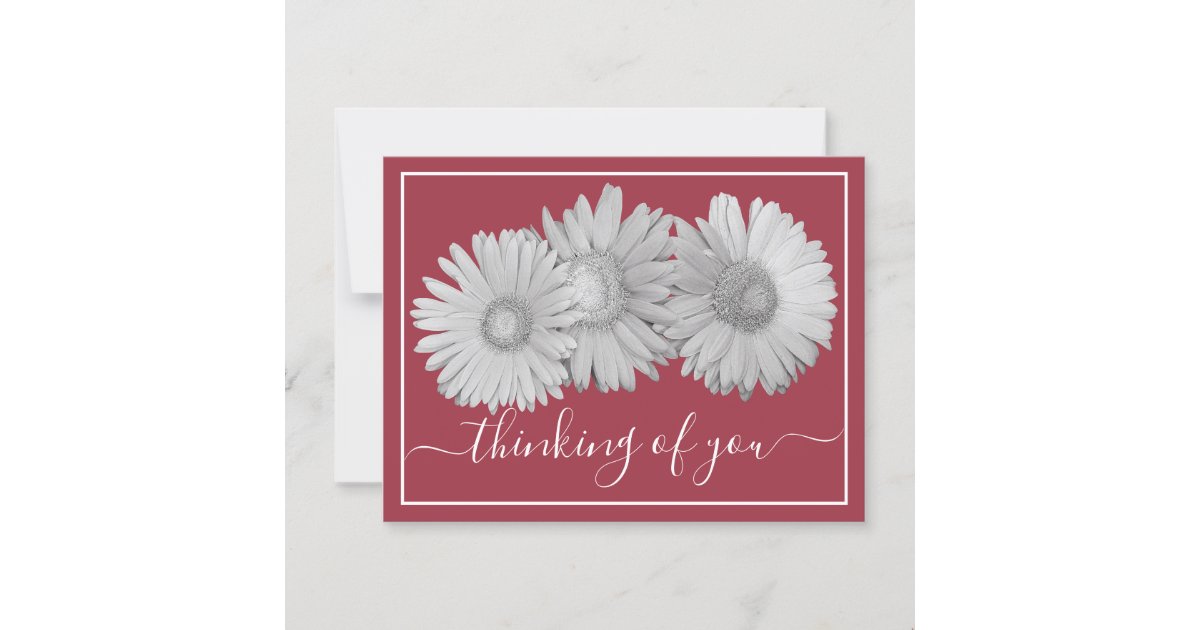 Gerbera Daisies Blush Background Thinking Of You Postcard | Zazzle