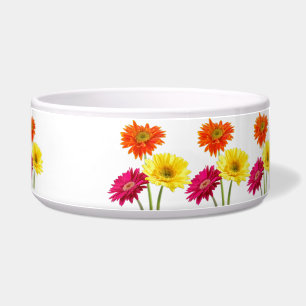 Gerbera Daisies Bowl