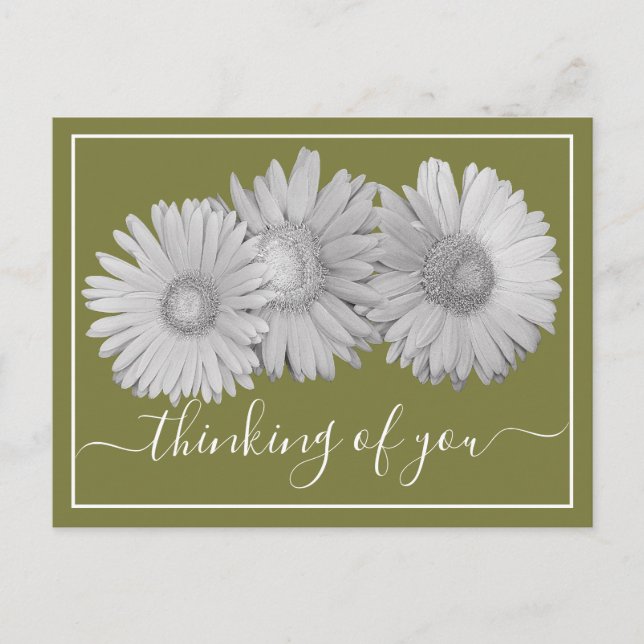 Gerbera Daisies Green Background Thinking Of You Postcard (Front)