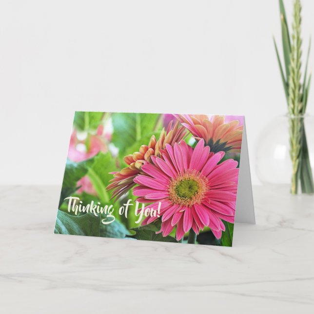 Gerbera Daisies Greeting Card (Front)