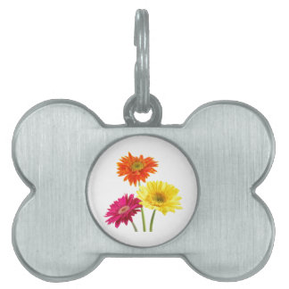 Gerbera Daisies Pet Name Tag