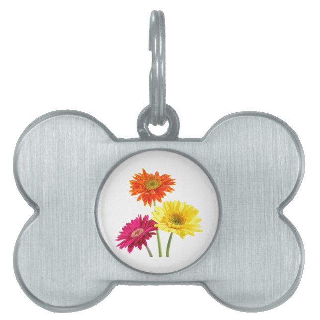 Gerbera Daisies Pet Name Tag (Front)