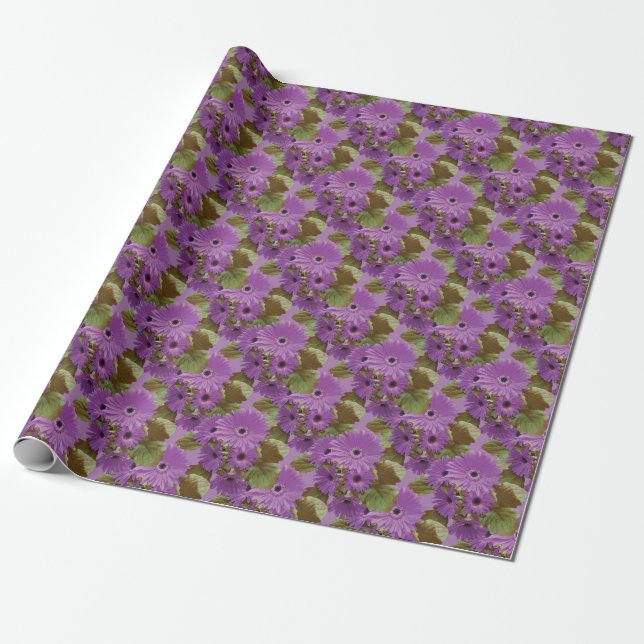 Gerbera Daisies purple sage green  wrapping paper (Unrolled)