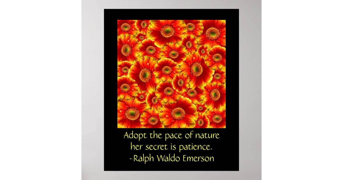 Gerbera Daisies with Quote Poster | Zazzle