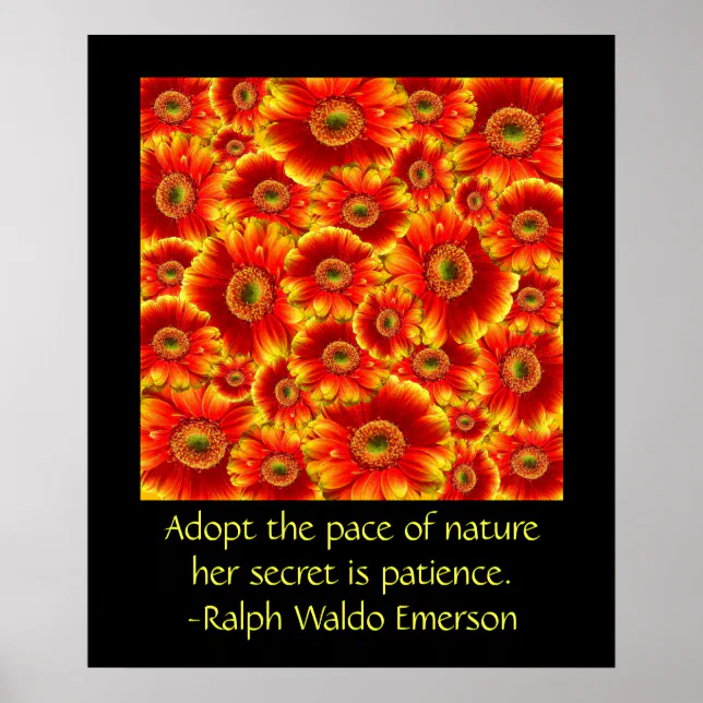 Gerbera Daisies with Quote Poster | Zazzle