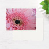 Gerbera Daisy (Desk)