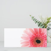 Gerbera Daisy (Standing Front)
