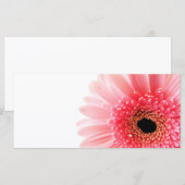 Gerbera Daisy (Front/Back)