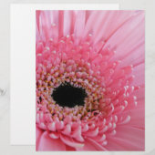 Gerbera Daisy (Front/Back)