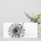 Gerbera Daisy (Standing Front)