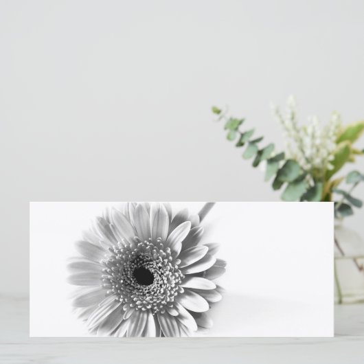 Gerbera Daisy (Standing Front)