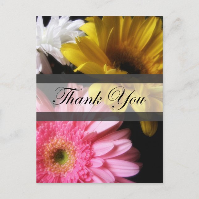 Gerbera Daisy 8 Thank You Postcard (Front)