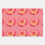 Gerbera Daisy and Teal Butterfly Gift Wrap