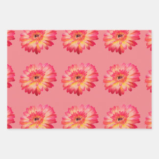 Gerbera Daisy and Teal Butterfly Gift Wrap