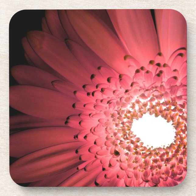 Gerbera Daisy Beverage Coaster (Front)