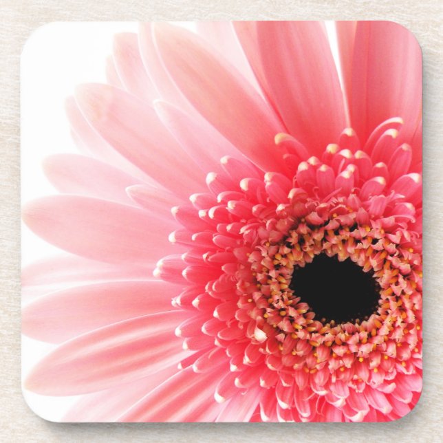 Gerbera Daisy Beverage Coaster (Front)